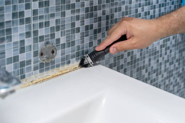 Best Mold Testing  in Roselle, NJ